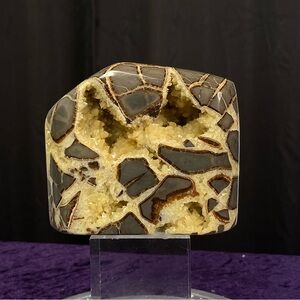 Septarian from Utah 🟤🤍🟤